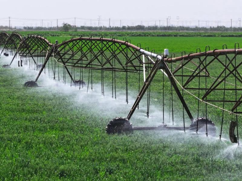 Solar Irrigation Water Pump Application Image 1